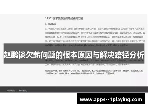赵鹏谈欠薪问题的根本原因与解决路径分析