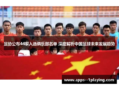 足协公布44家入选俱乐部名单 深度解析中国足球未来发展趋势