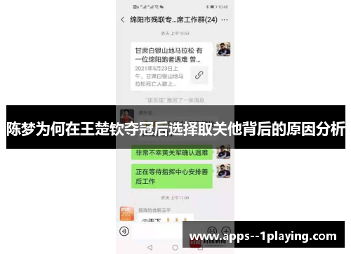 陈梦为何在王楚钦夺冠后选择取关他背后的原因分析